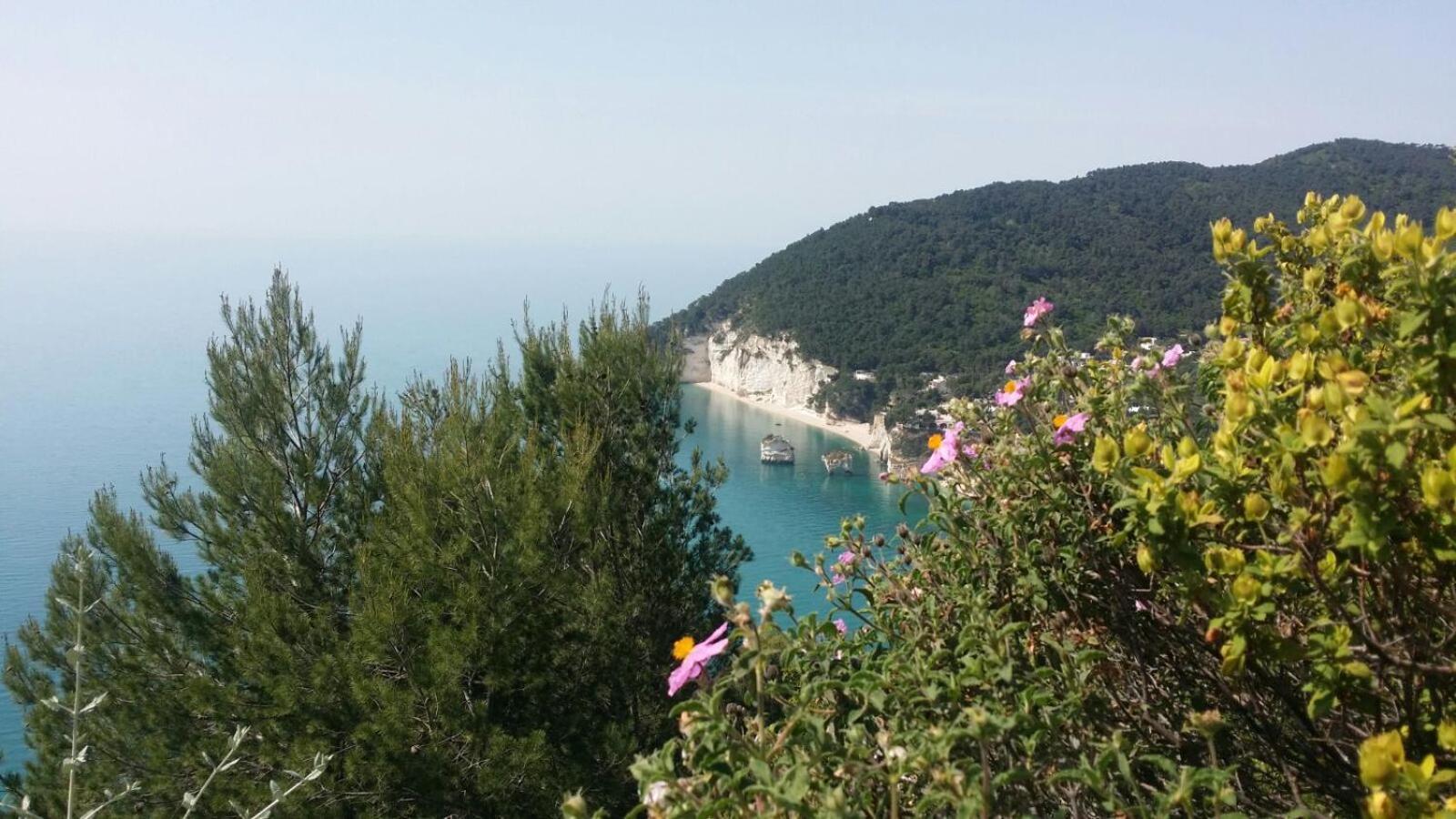 Olive&Sea Villa-Olive Матината Екстериор снимка