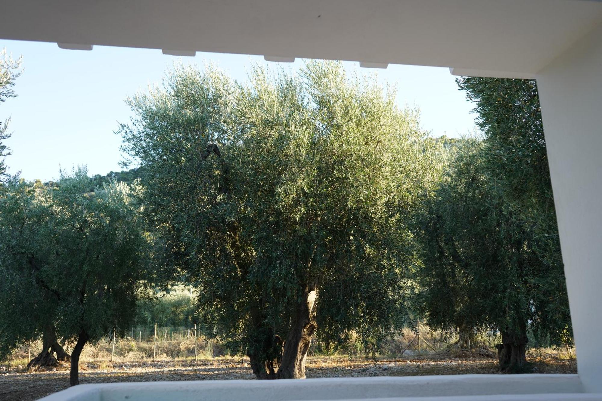 Olive&Sea Villa-Olive Матината Екстериор снимка