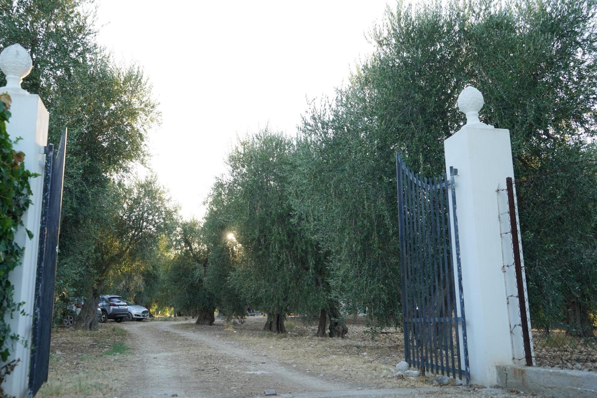 Olive&Sea Villa-Olive Матината Екстериор снимка