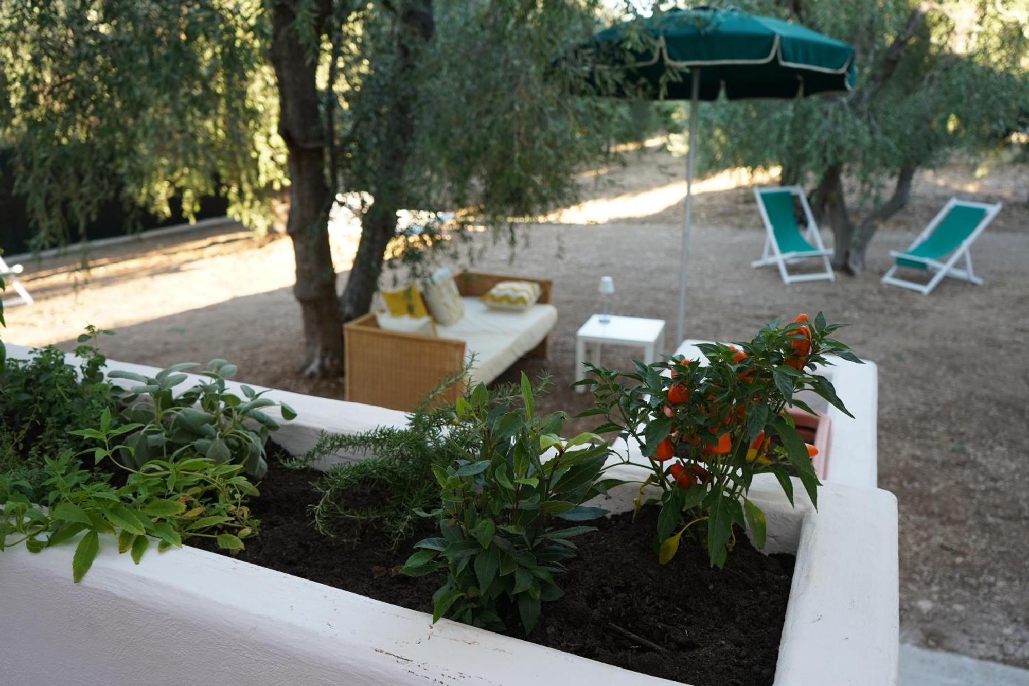 Olive&Sea Villa-Olive Матината Екстериор снимка