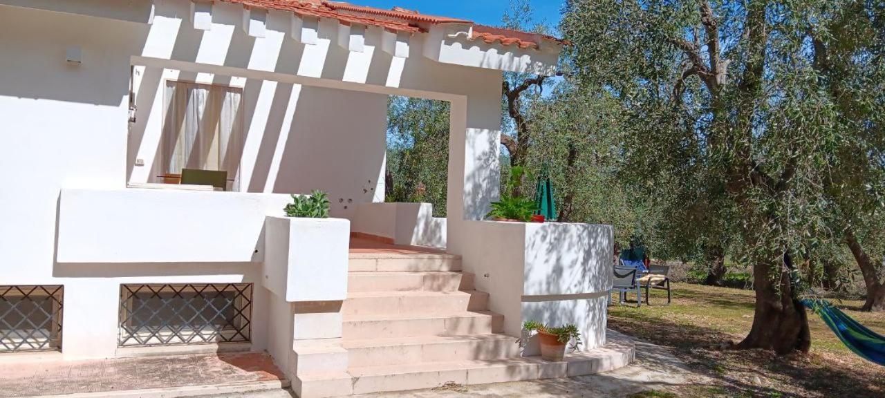 Olive&Sea Villa-Olive Матината Екстериор снимка