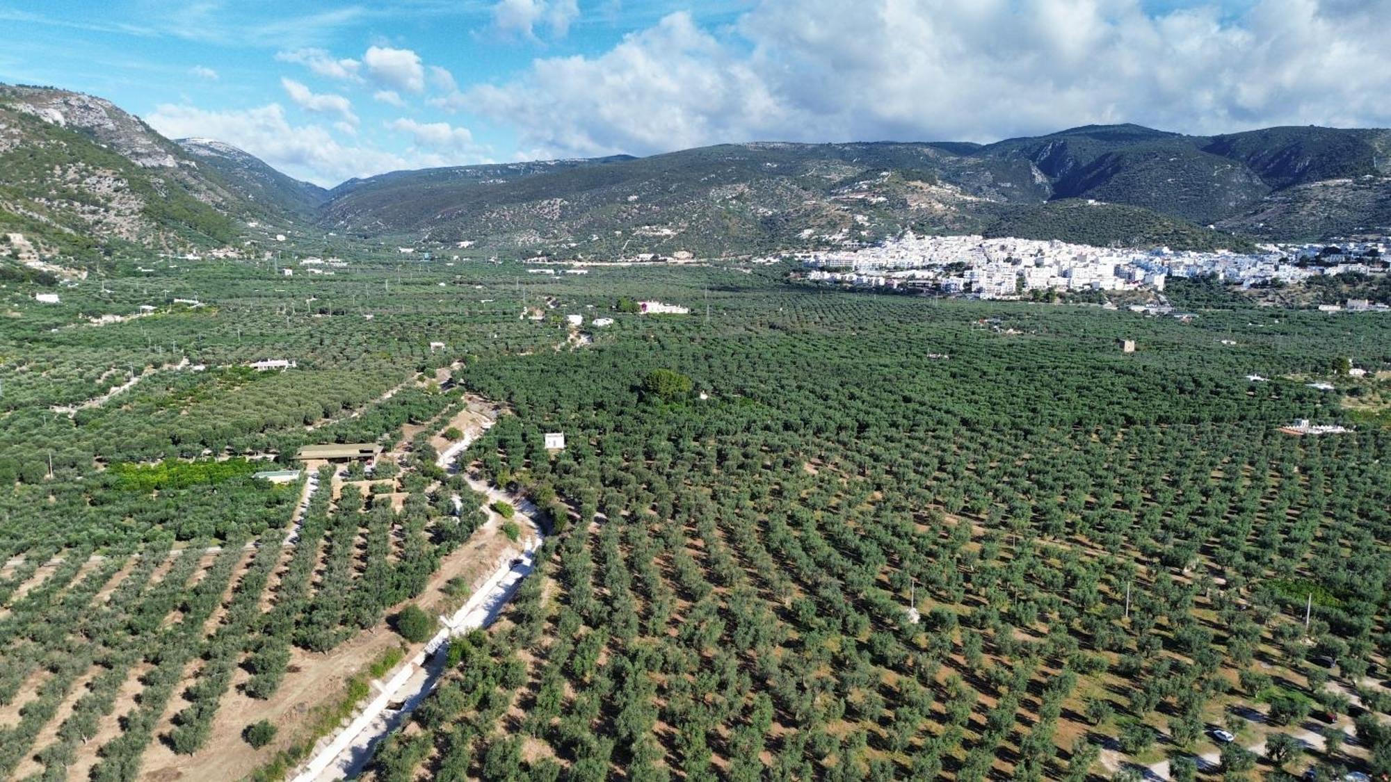 Olive&Sea Villa-Olive Матината Екстериор снимка